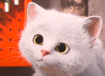 My shop white cat