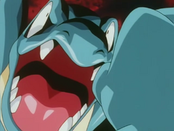 Totodile used Scary Face! : r/pokemon