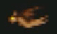 Chauve-souris.jpg