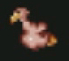 Bébé-vautour.jpg