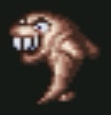 Requin.jpg