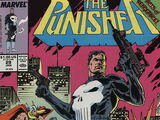 Punisher Vol 2 29