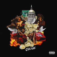 Culture (2017)