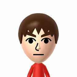 Blank Mii | Mii Archives Wiki | Fandom