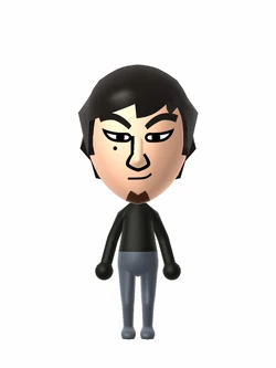 mii 　no11 Nin☆DoTak | Mii Archives Wiki | Fandom