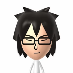 Nin☆==Kony | Mii Archives Wiki | Fandom