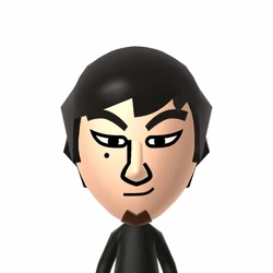 Nin☆DoTak | Mii Archives Wiki | Fandom