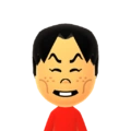 Special Miis | Mii Archives Wiki | Fandom