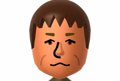 Nin☆FJ | Mii Archives Wiki | Fandom