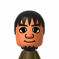 Nin☆Tkym | Mii Archives Wiki | Fandom