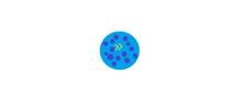 Acceleration Cookie.png