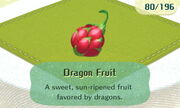 Dragon Fruit.JPG