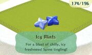 Icy mints.jpg