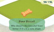 Bone Biscuit