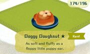 Doggy doughnut rare