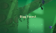 Bigg Forest