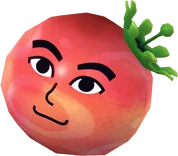 Traveler's friend tomato