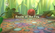 Realm of the Fey (area)