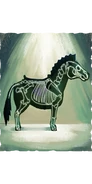 X-ray of a horse.