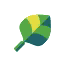 A cartoon leaf with a white outline.