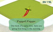 Puppet Pepper.JPG