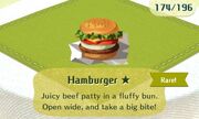 Hamburger rare.jpg