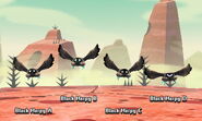 Encountering four Black Harpies during a quest in the Arid Frontier.