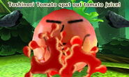 Traveler's Friend Tomato Tomato Juice