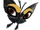 Black Butterfly