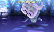 Wizened Owl Distracted