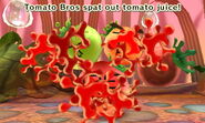 The Tomato Bros' tomato juice.