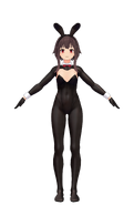 Bunny Suit
