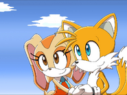 Sonic X Cream and Tails