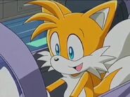 Sonic X Tails Amy on the Beach