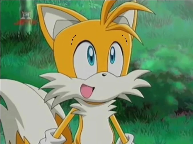 sonic x tails