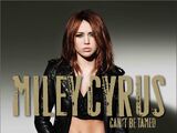 Can't Be Tamed (album)