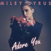 Adore You.jpg
