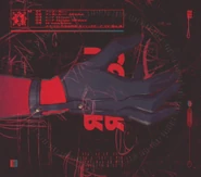 Undercover Album Back Cover