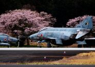 J25nalfzrhr21.jpg (176 KB) Two F-4EJ Kai Phantoms infront of sakura trees