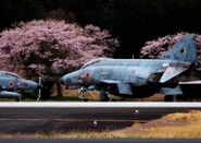 Two F-4EJ Kai Phantoms infront of sakura trees