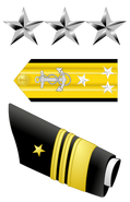 U.S. Navy