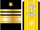 Vice admiral