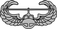 Air Assault Badge