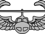 United States Army Air Assault School