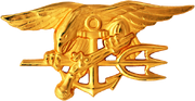 US Navy SEALs insignia