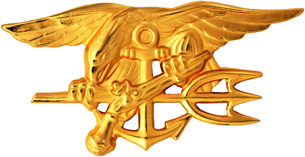 Bronze Grave Marker for U.S. Navy SEAL Team Three Member