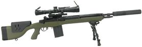 M14 dmr