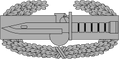 Combat Action Badge