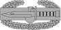 Combat Action Badge