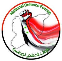 National Defence Forces, Military Wiki